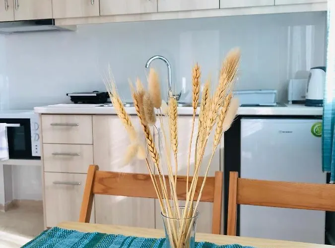 Banos And Swimming Pool Appartamento